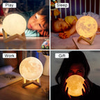Underside of the Luna moon lamp showing the switch position, next to the wooden display stand